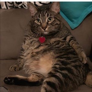 Meet your Posher, Desiree